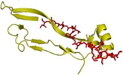 Bioactivation Routes of Gelatin-Based Scaffolds to Enhance at Nanoscale Level Bone Tissue Regeneration